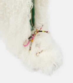 Stiefel Freezy Mit Shearling -Paris Texas Shoes Geschaft P00717186 d4